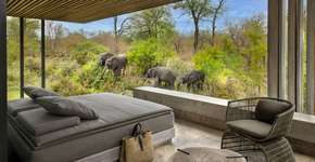 Conheça o safári mais sustentável e exclusivo da África do Sul