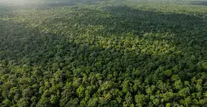 Foto: (Imagem sem texto alternativo disponivel ID [2710516])