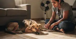 Foto: (Imagem sem texto alternativo disponivel ID [2691536])