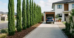 A árvore cresce para cima e não aperta a passagem do carro no corredor da casa