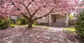 Foto: (Imagem sem texto alternativo disponivel ID [2741997])