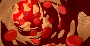 Eleito o melhor chá para auxiliar na redução do colesterol ruim