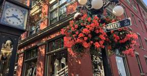 Foto: (Divulgação)