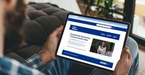 Foto: (Divulgação)