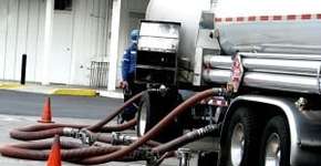 Foto: (Imagem sem texto alternativo disponivel ID [1860773])