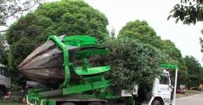 Empresa australiana cria método que pode acabar com o desmatamento em grande obras e empreendimentos