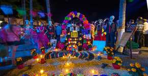 Foto: (Imagem sem texto alternativo disponivel ID [1507481])