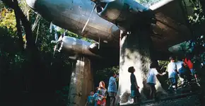 Foto: (Divulgação)