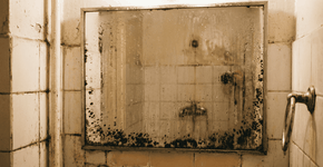 Foto: (Imagem sem texto alternativo disponivel ID [2750034])