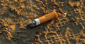 Cinco elementos rotineiros que causam câncer