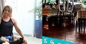 Empresa cria adesivo que evita choques de cães e gatos contra vidros