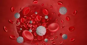 Os primeiros sintomas da leucemia e as novas perspectivas de tratamento