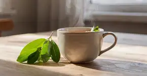 Foto: (Imagem sem texto alternativo disponivel ID [2691415])