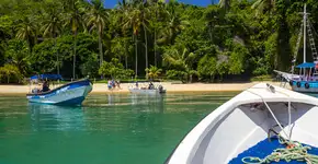 Foto: (Cesar Okada/iStock)