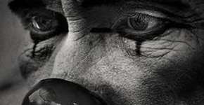 Foto: (Imagem sem texto alternativo disponivel ID [1861047])