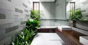 Como e por que fazer um jardim aberto no banheiro