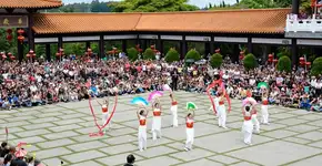 Foto: (Divulgação)