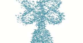 Catraca Livre vira a terceira maior página da imprensa brasileira no Facebook