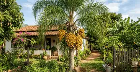 Foto: (Imagem sem texto alternativo disponivel ID [2757431])