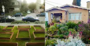 Foto: (Imagem sem texto alternativo disponivel ID [1837629])