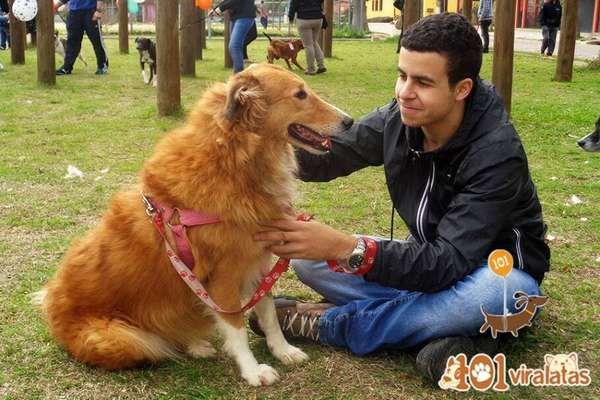 Foto: Reprodução/ Facebook