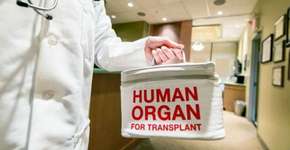 Foto: (Imagem sem texto alternativo disponivel ID [1833437])