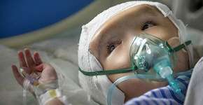 Foto: (Imagem sem texto alternativo disponivel ID [1833604])