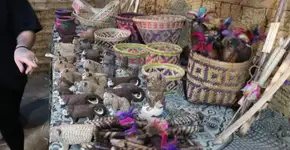 Contação de história em Diadema explora mitologia indígena