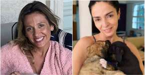 Cláudia Ohana fala sobre polêmica com cães após críticas de Luísa Mell