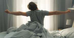 Foto: (iStock/gorodenkoff)