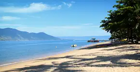 Foto: (Getty Images/iStockphoto)