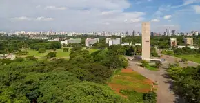 Cursinho FEA-USP oferece 120 vagas em pré-vestibular gratuito