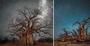 Foto: (Imagem sem texto alternativo disponivel ID [893494])