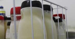 Foto: (Imagem sem texto alternativo disponivel ID [1867076])