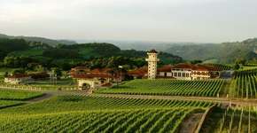 Foto: (Imagem sem texto alternativo disponivel ID [1868691])