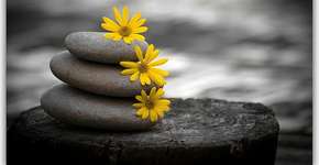 Terapia Reichiana é tema de  workshop gratuito