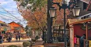 Monte Verde (MG) é refúgio para quem quer fugir do Carnaval