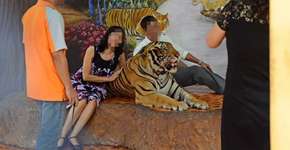 Instagram envia alerta a quem postar selfie com animal silvestre