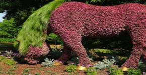 Exposição reúne esculturas feita de diferentes tipos de plantas