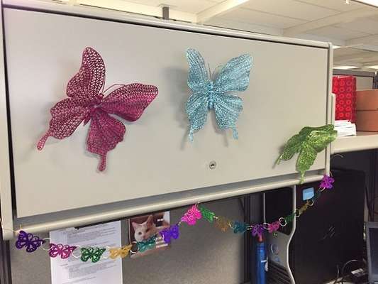 Foto: Reprodução/Amanda Jette Knox