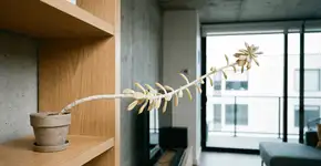 Foto: (Imagem sem texto alternativo disponivel ID [2753561])