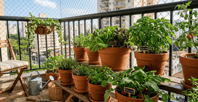 Foto: (Imagem sem texto alternativo disponivel ID [2758192])