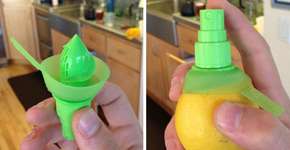 Foto: (Imagem sem texto alternativo disponivel ID [1837836])