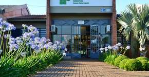 Foto: (Divulgação)