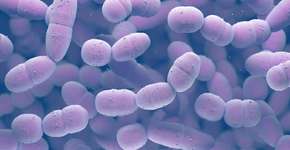 Foto: (ktsimage/istock)