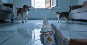 Foto: (Imagem sem texto alternativo disponivel ID [2679028])