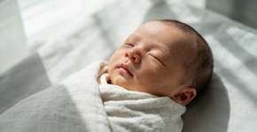 Foto: (Imagem sem texto alternativo disponivel ID [2696920])