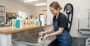 Foto: (Imagem sem texto alternativo disponivel ID [2743688])