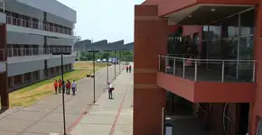 USP oferece 9 cursos de extensão gratuitos; veja como se inscrever