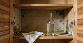 Foto: (Imagem sem texto alternativo disponivel ID [2728233])